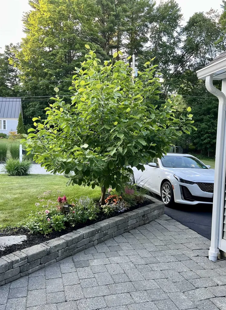 41 Knoll Avenue Keene NH 03431