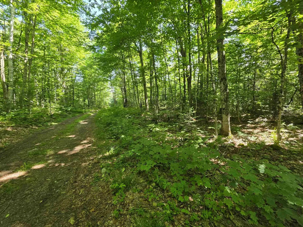 1700 Arcadia Lane Westmore VT 05860