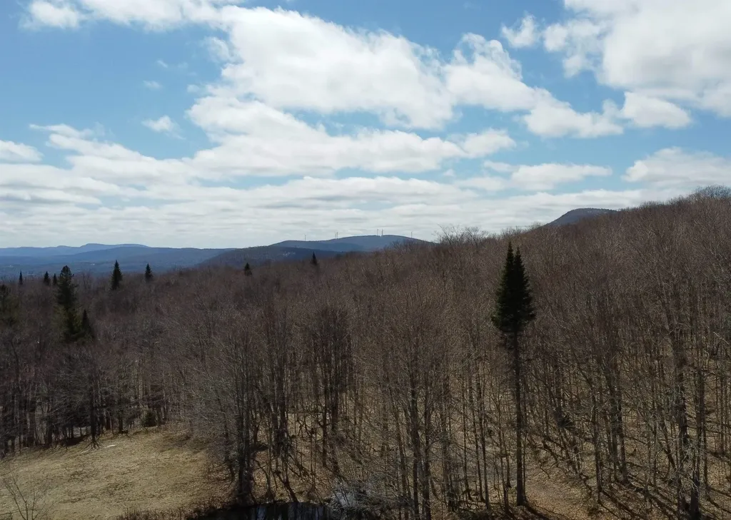 1700 Arcadia Lane Westmore VT 05860