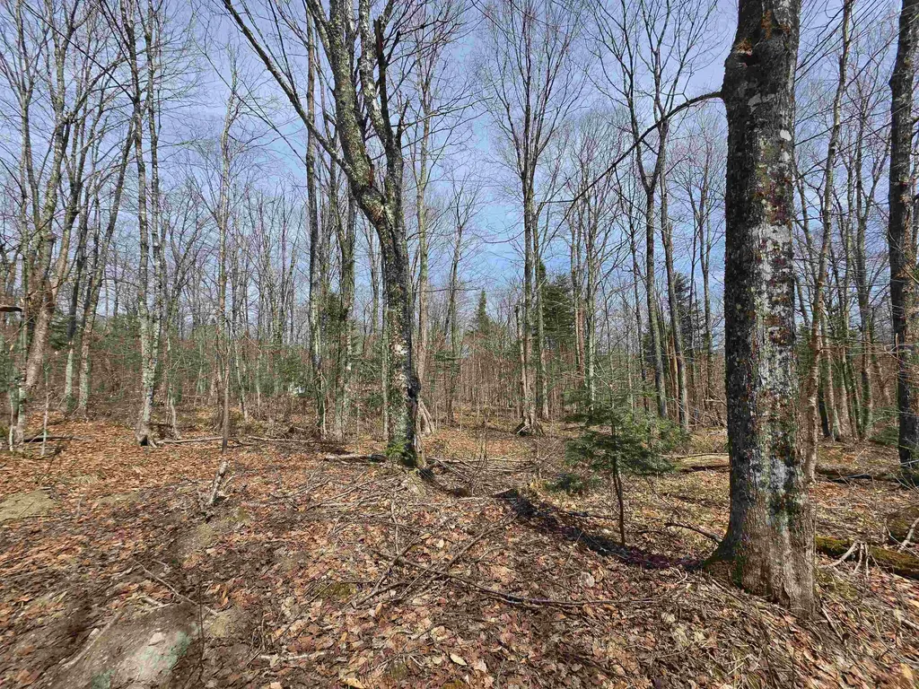 1700 Arcadia Lane Westmore VT 05860