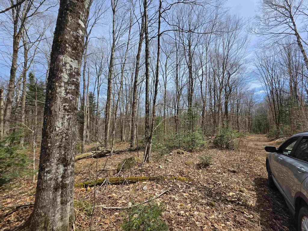 1700 Arcadia Lane Westmore VT 05860