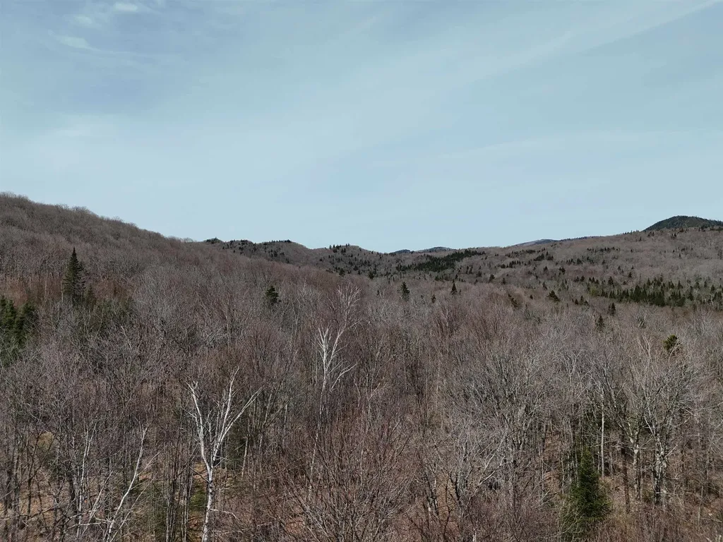 1700 Arcadia Lane Westmore VT 05860