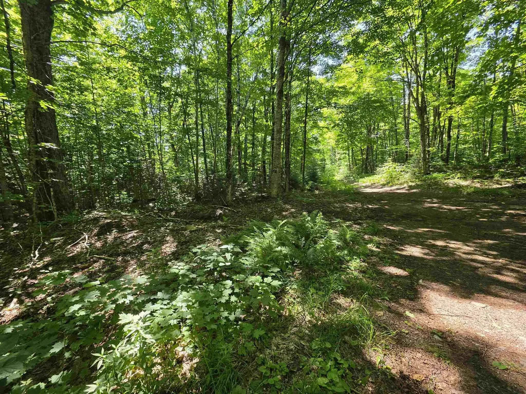 1700 Arcadia Lane Westmore VT 05860