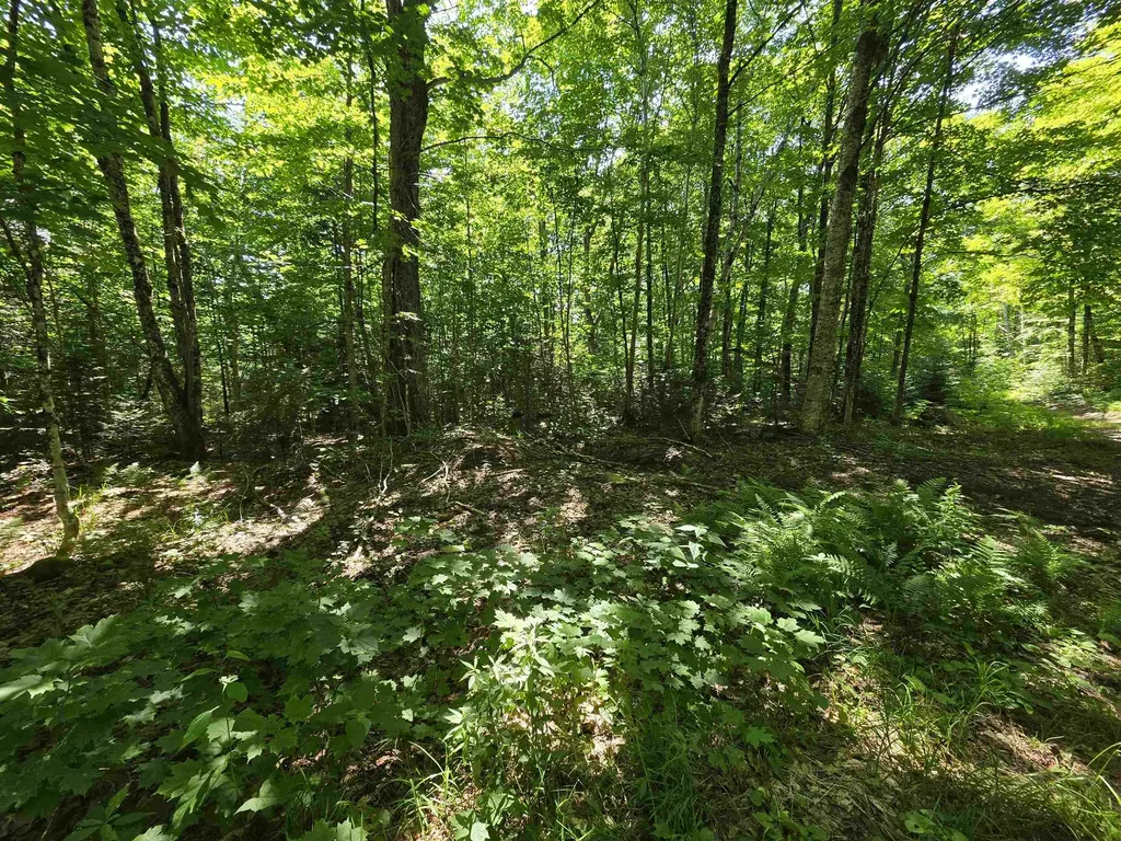 1700 Arcadia Lane Westmore VT 05860