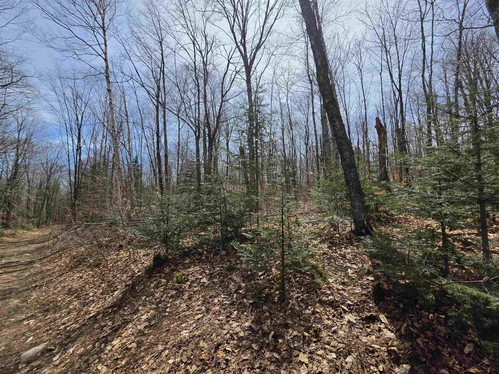 1700 Arcadia Lane Westmore VT 05860