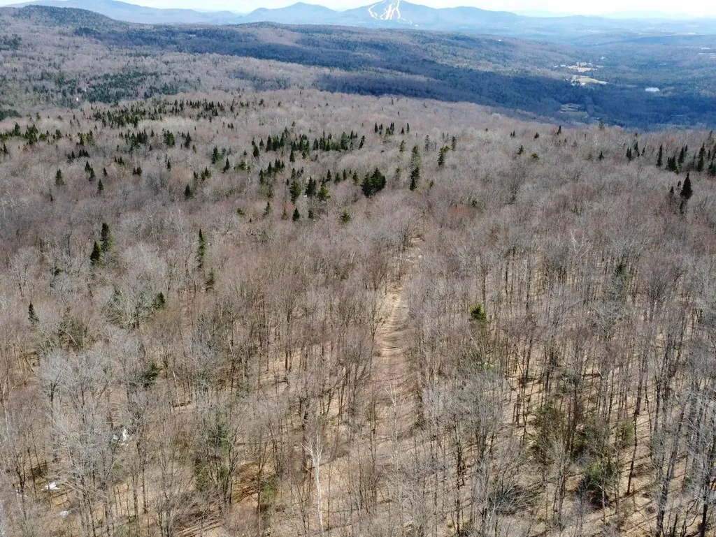 1700 Arcadia Lane Westmore VT 05860