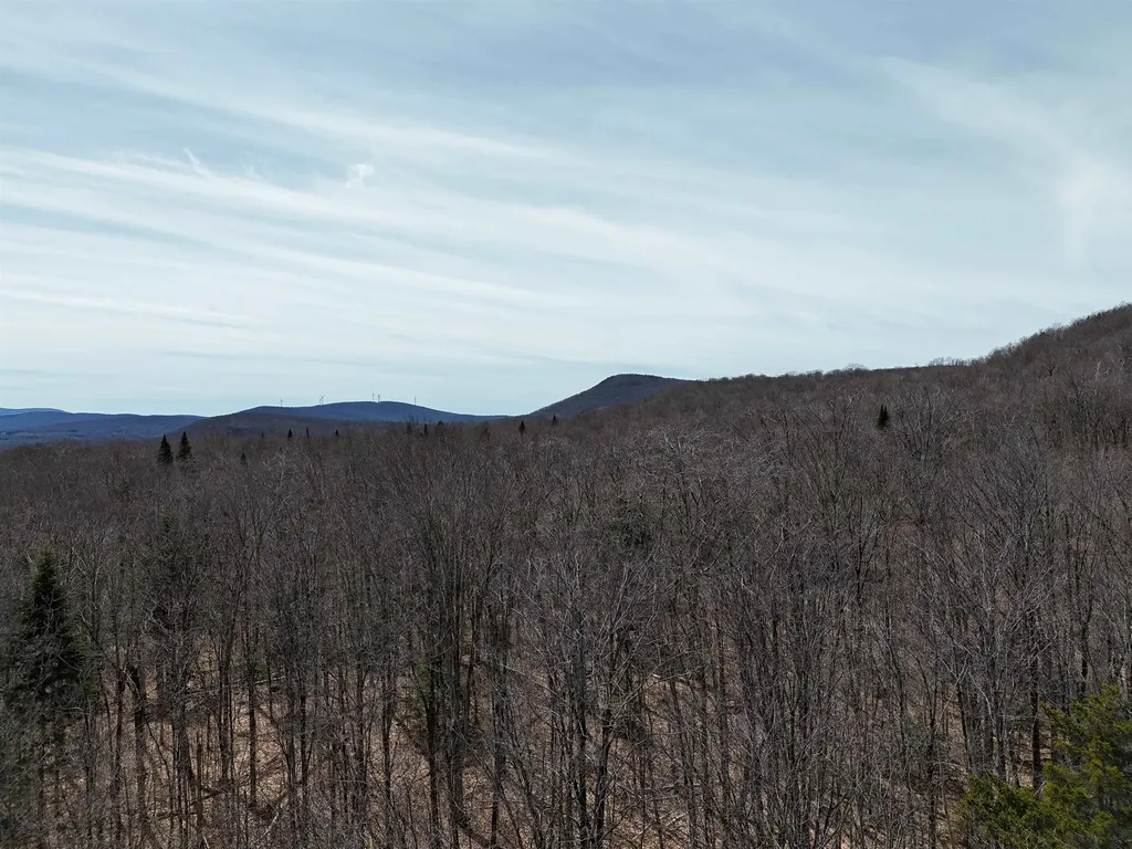 1700 Arcadia Lane Westmore VT 05860