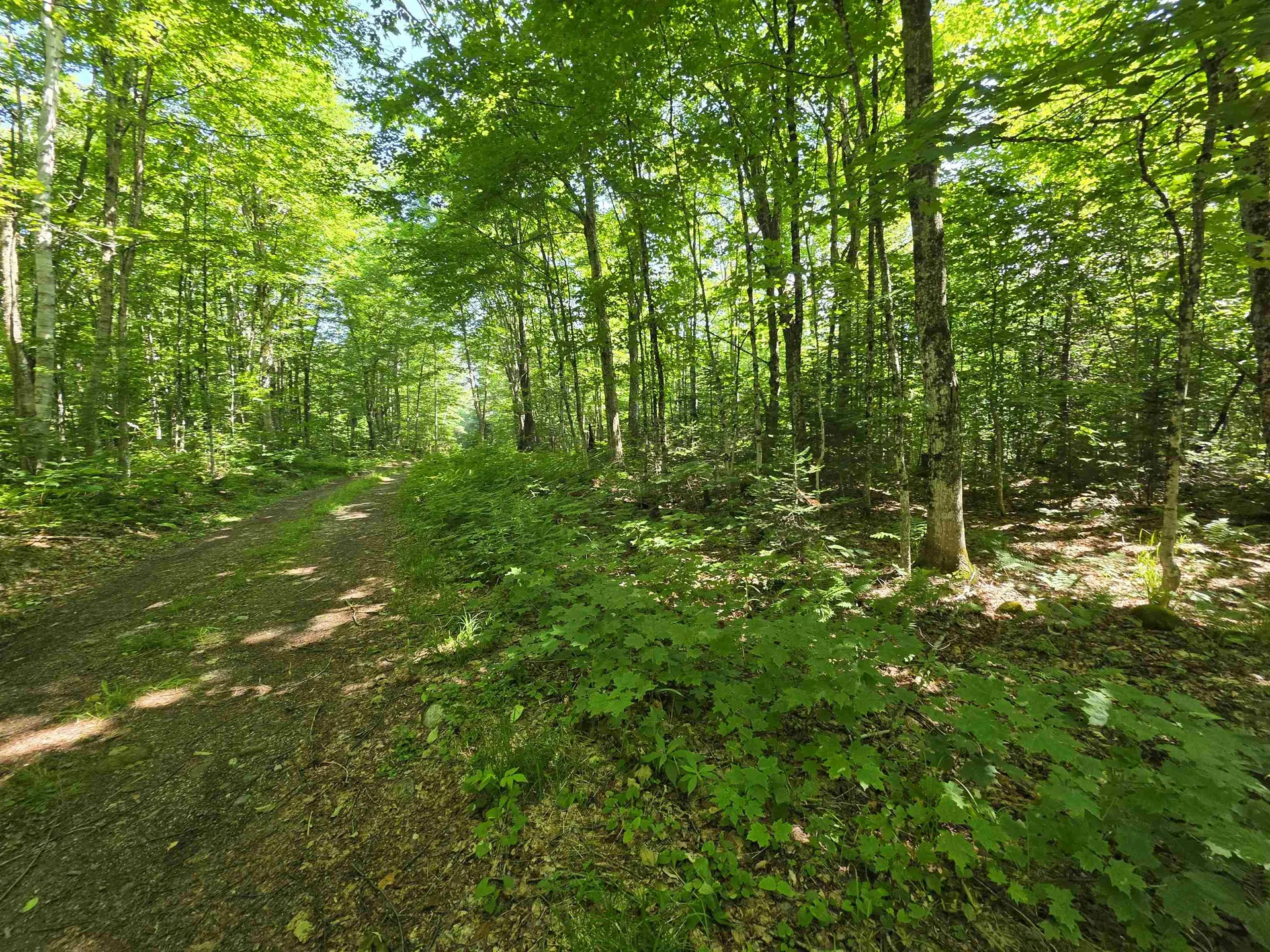 1700 Arcadia Lane Westmore VT 05860