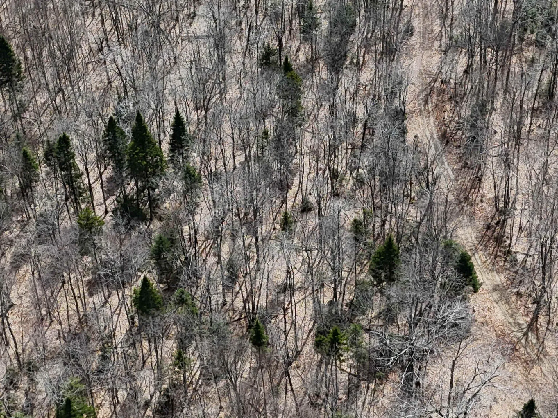 1700 Arcadia Lane Westmore VT 05860