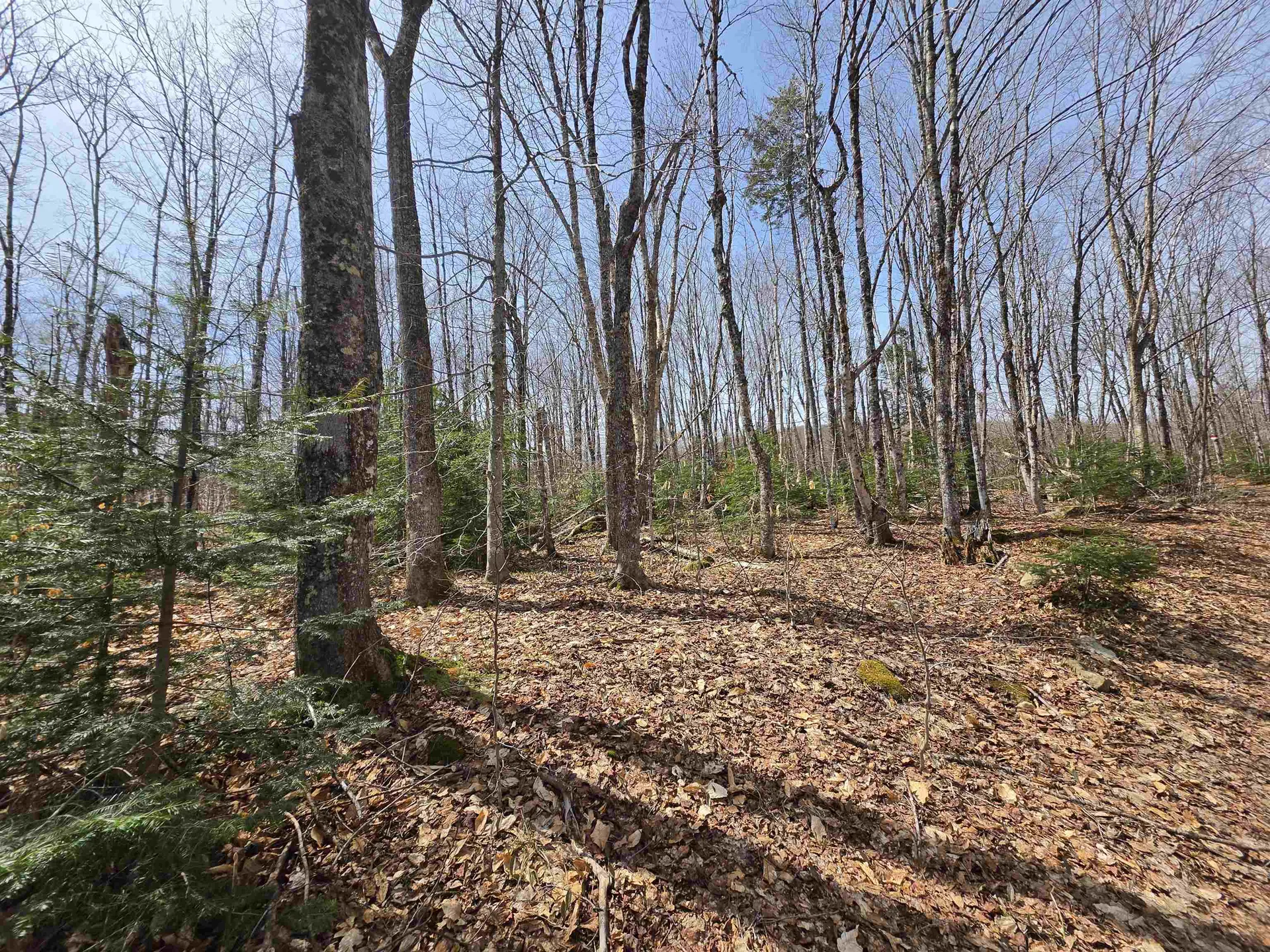 1700 Arcadia Lane Westmore VT 05860