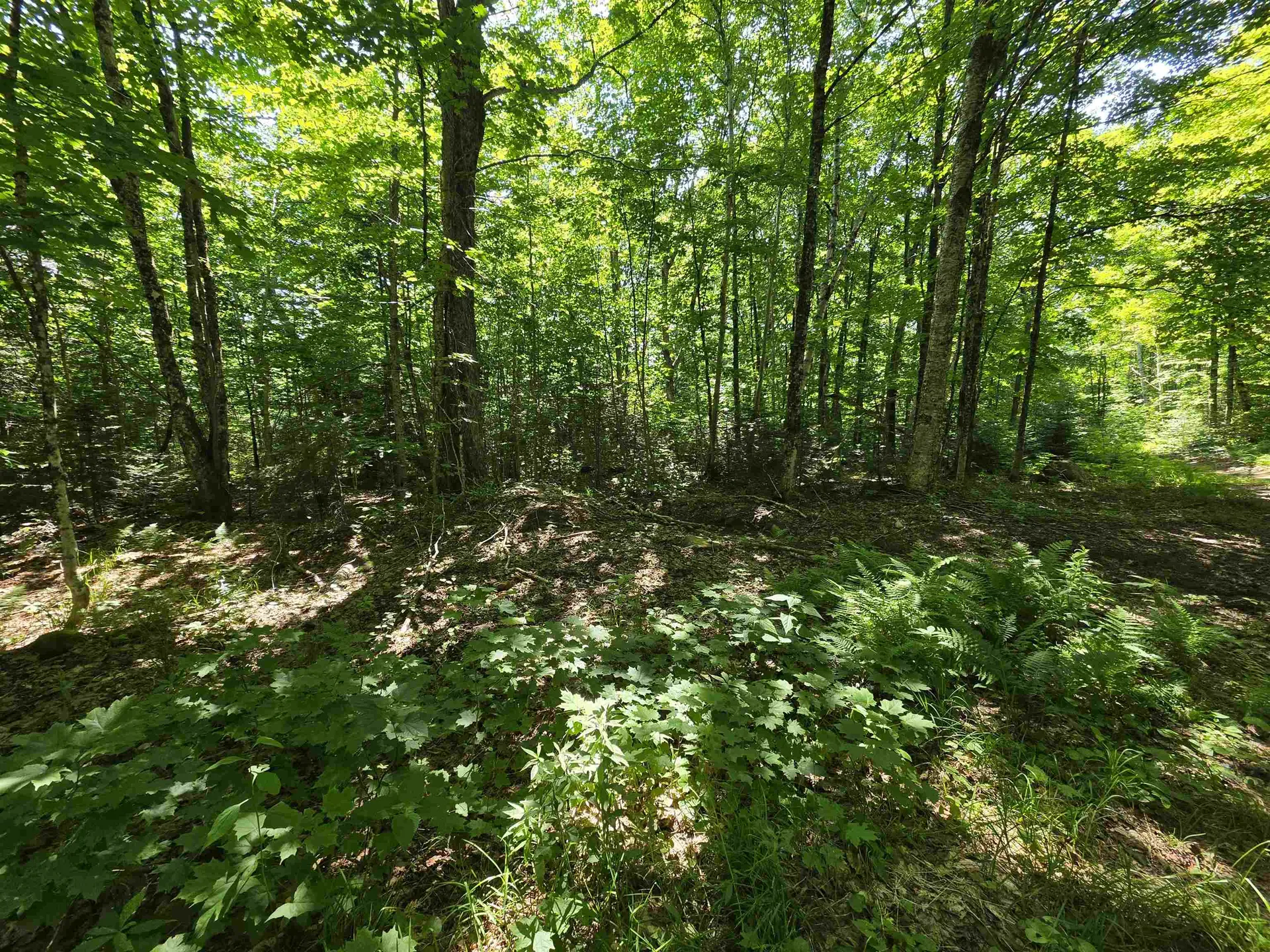 1700 Arcadia Lane Westmore VT 05860