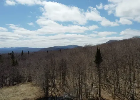 1700 Arcadia Lane Westmore VT 05860