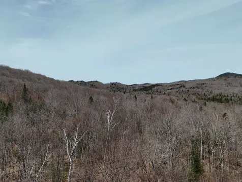 1700 Arcadia Lane Westmore VT 05860