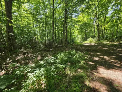 1700 Arcadia Lane Westmore VT 05860