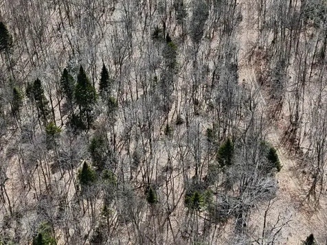 1700 Arcadia Lane Westmore VT 05860