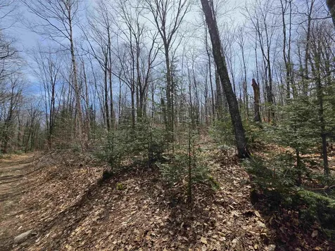 1700 Arcadia Lane Westmore VT 05860