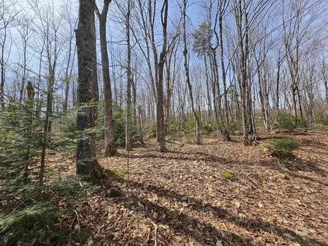 1700 Arcadia Lane Westmore VT 05860