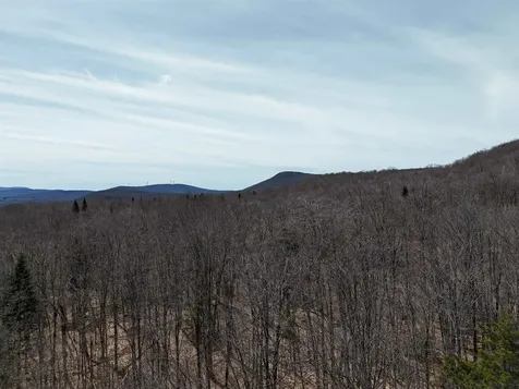 1700 Arcadia Lane Westmore VT 05860