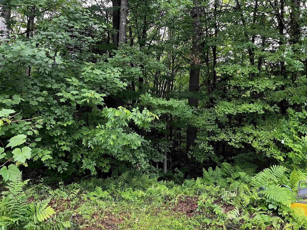 345 Danby/pawlet Road Danby VT 05739