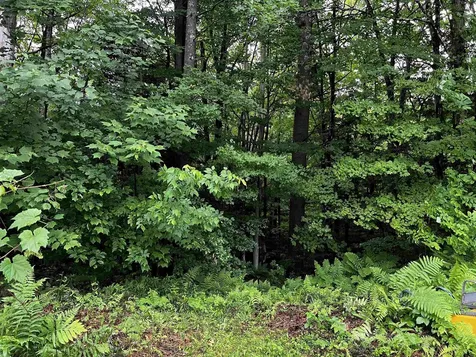 345 Danby/pawlet Road Danby VT 05739