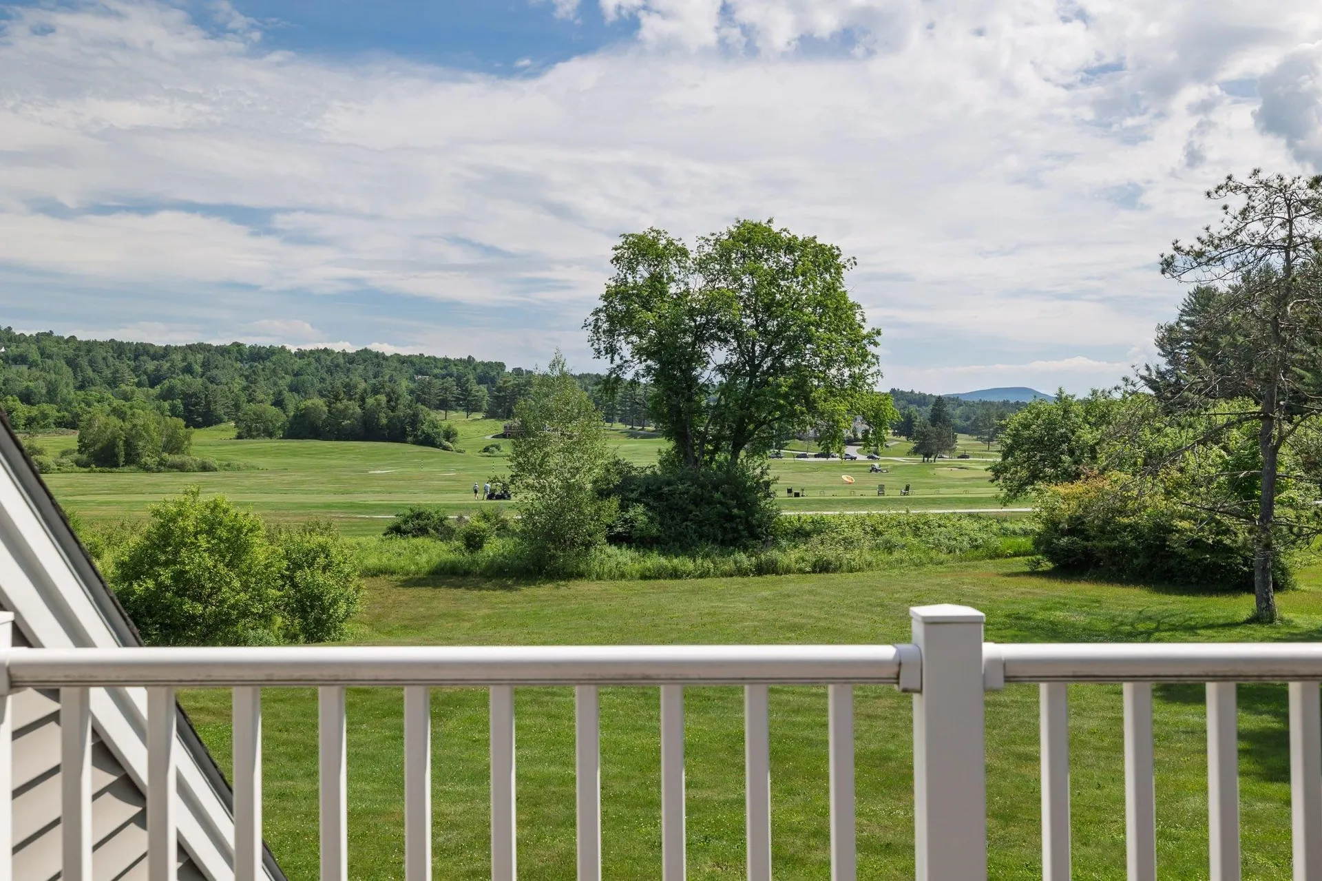 24 Stoweflake Meadows Loop Stowe VT 05672