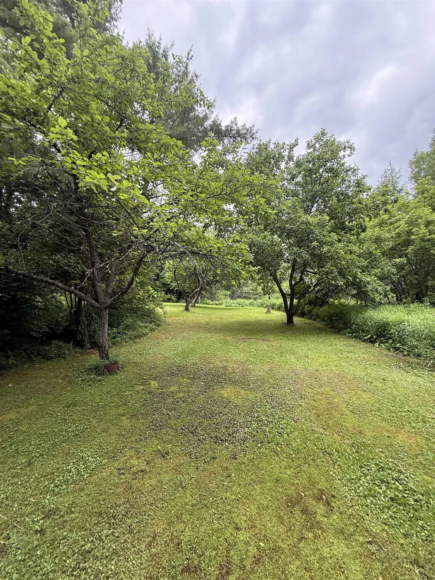 2650 Tampico Road Danville VT 05828