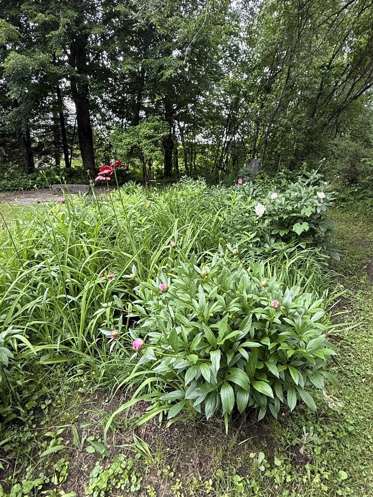 2650 Tampico Road Danville VT 05828
