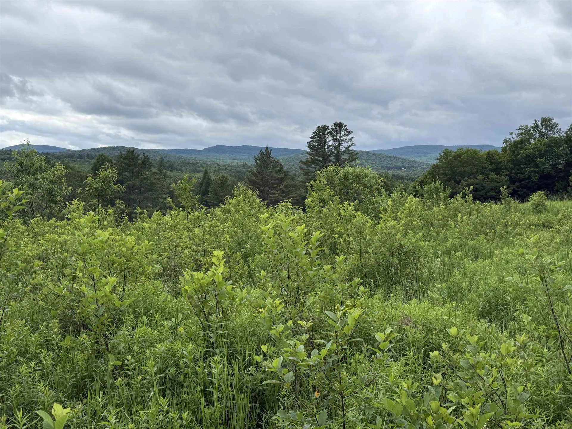 2650 Tampico Road Danville VT 05828
