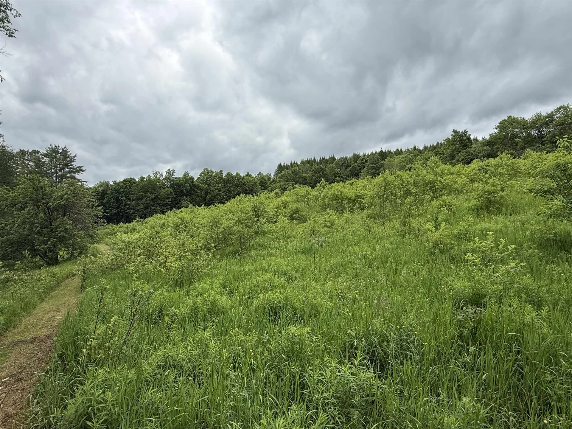 2650 Tampico Road Danville VT 05828