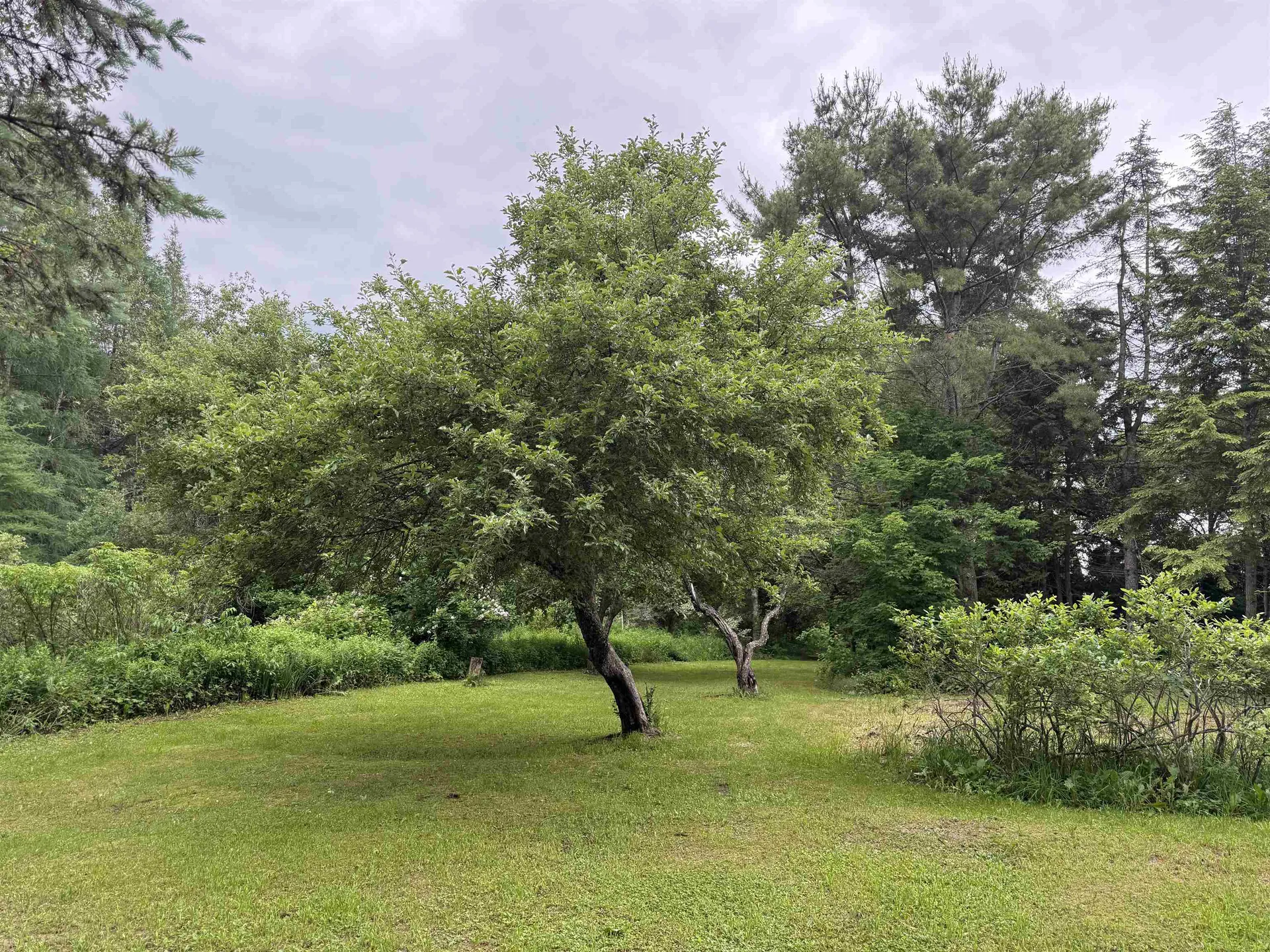 2650 Tampico Road Danville VT 05828
