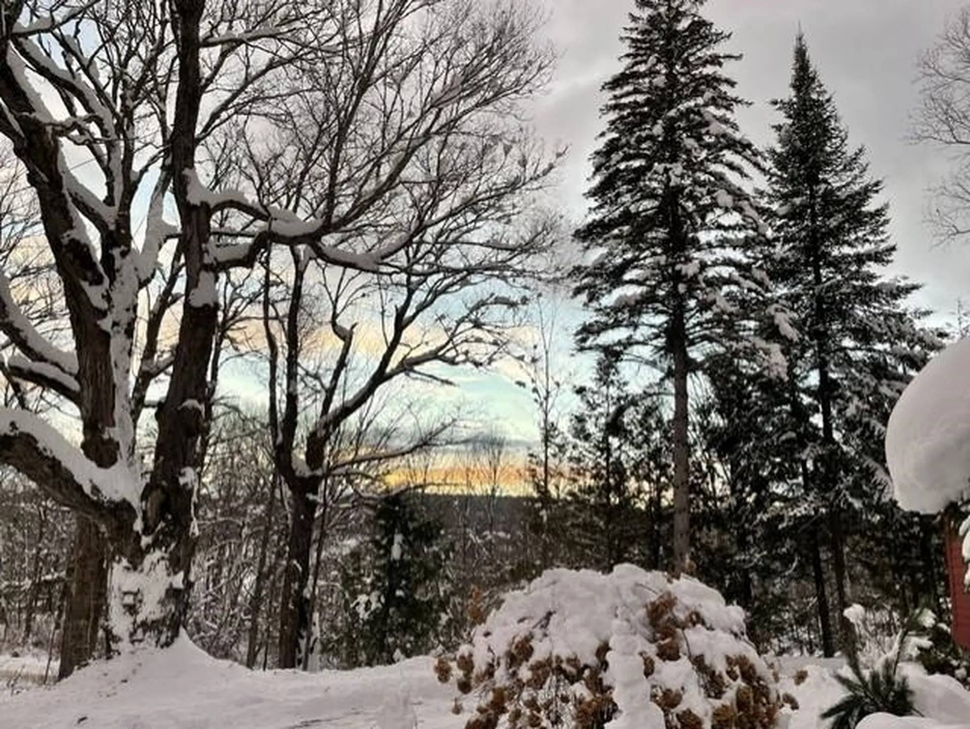 2650 Tampico Road Danville VT 05828