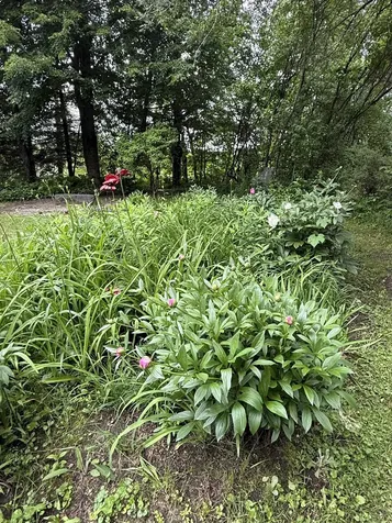 2650 Tampico Road Danville VT 05828