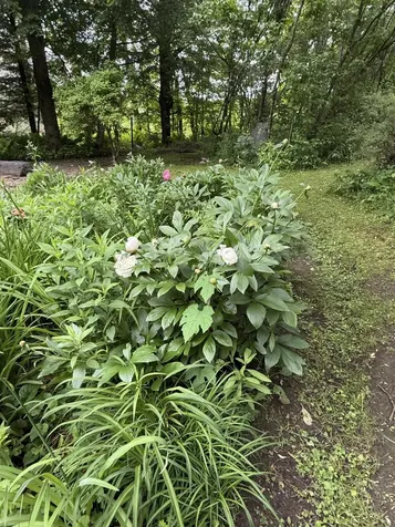 2650 Tampico Road Danville VT 05828