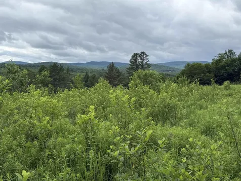 2650 Tampico Road Danville VT 05828