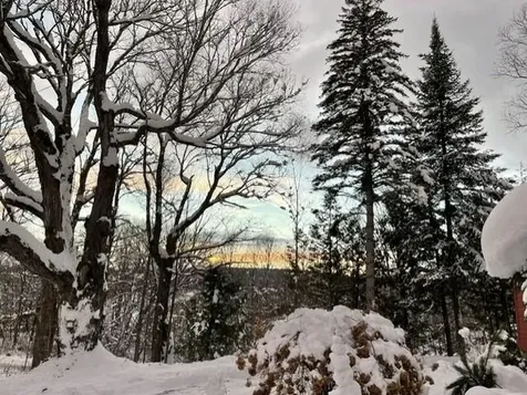 2650 Tampico Road Danville VT 05828