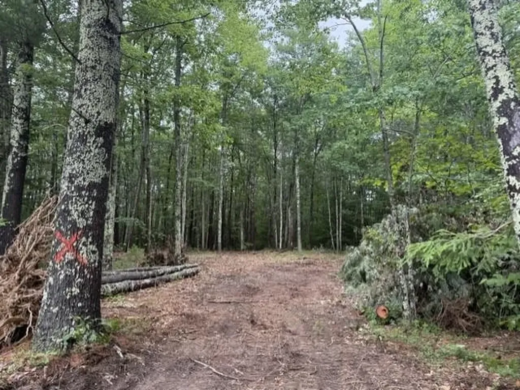 120 Rounala Road Milford NH 03055