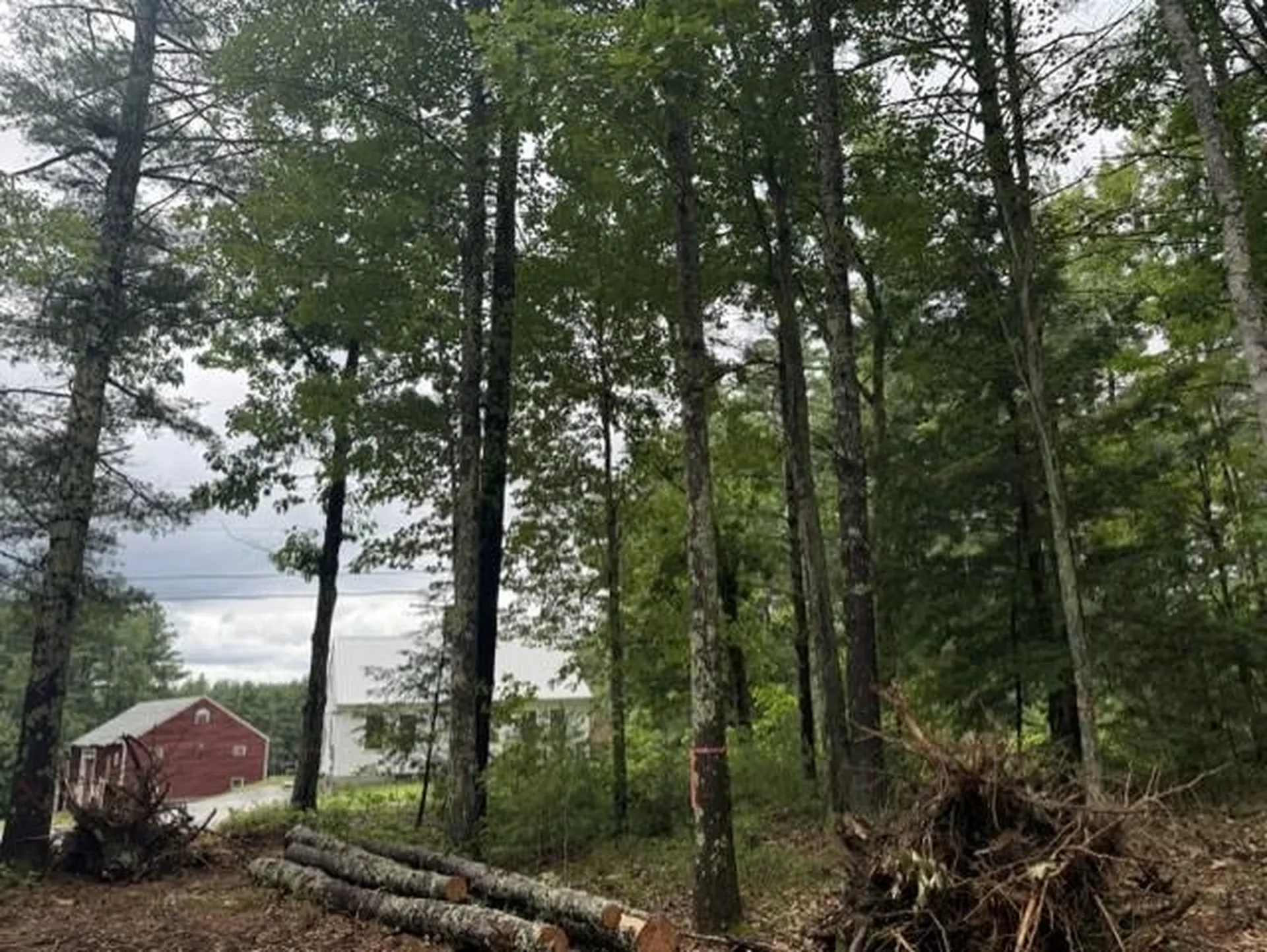 120 Rounala Road Milford NH 03055
