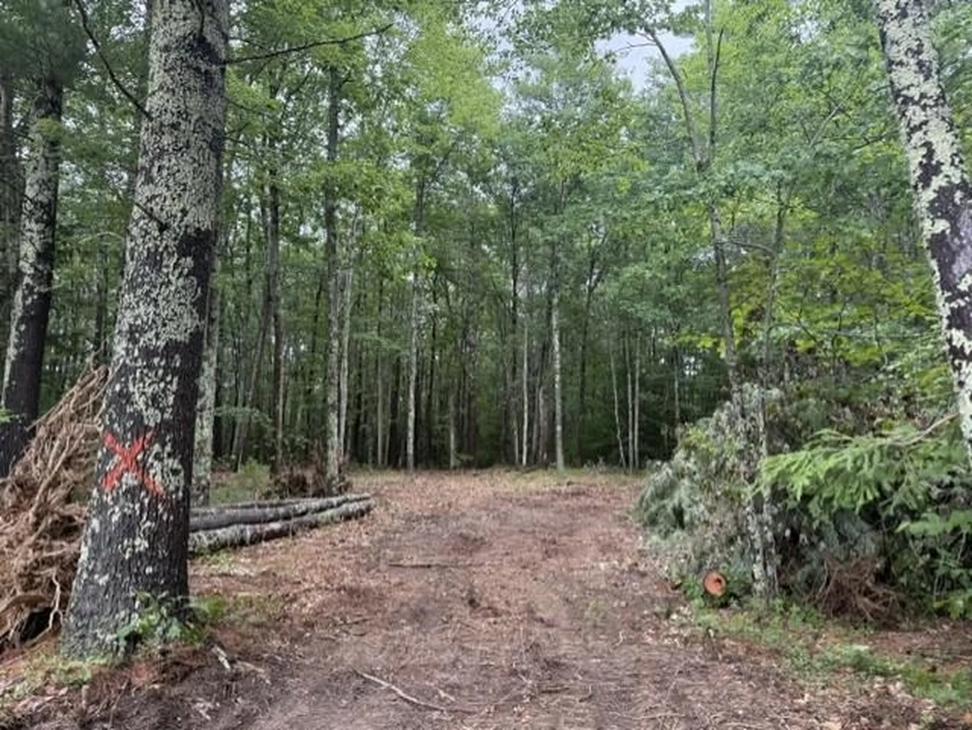 120 Rounala Road Milford NH 03055