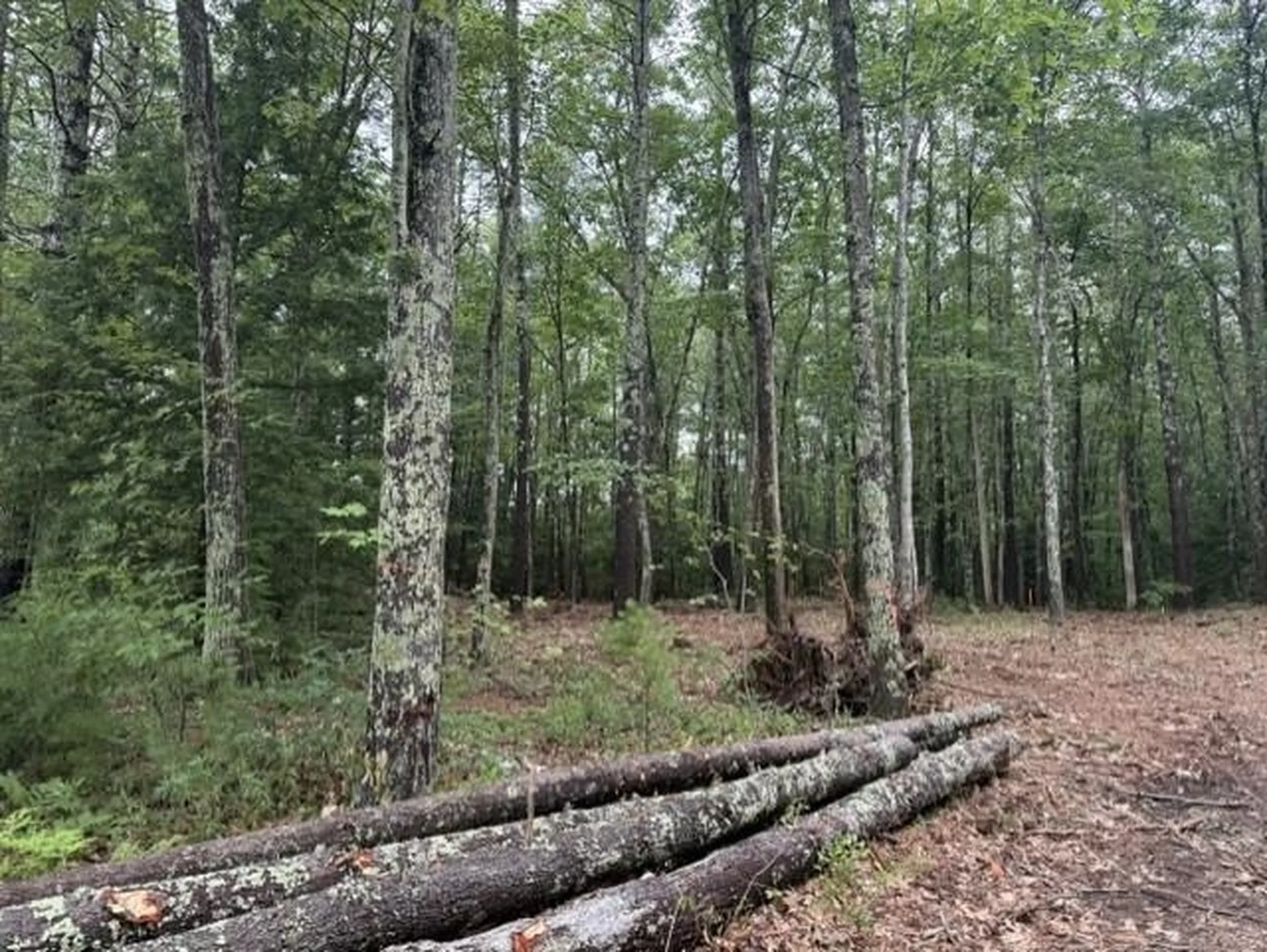 120 Rounala Road Milford NH 03055