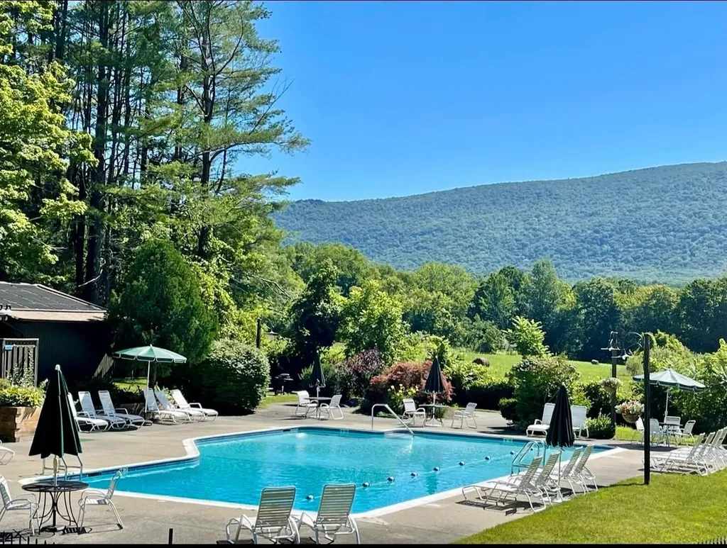 55 Murray Hill Woods Road Manchester VT 05255