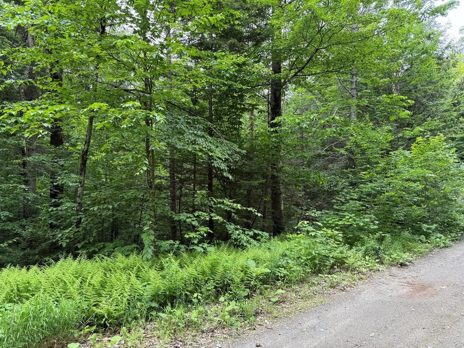 219 Woodbury Mountain Road Calais VT 05648
