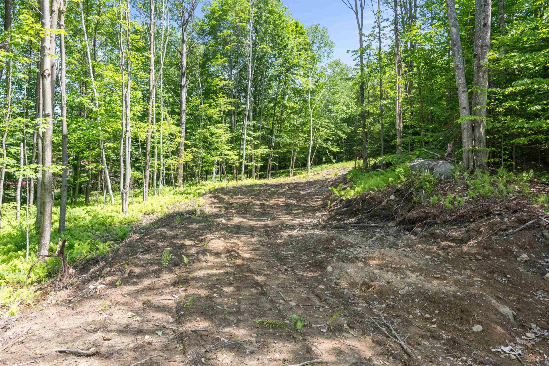 251 White Birch Road Morristown VT 05661