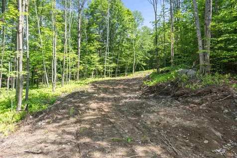 251 White Birch Road Morristown VT 05661