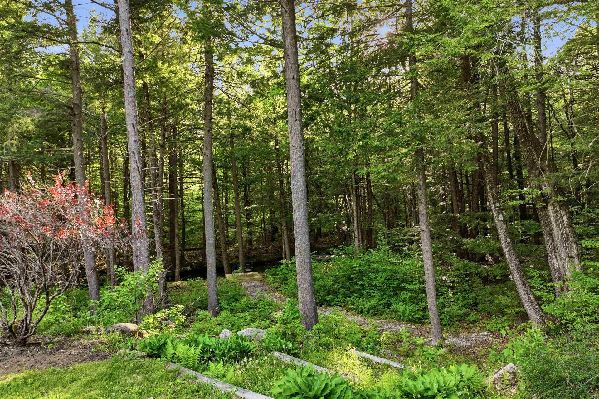 25 James Lane Hebron NH 03241