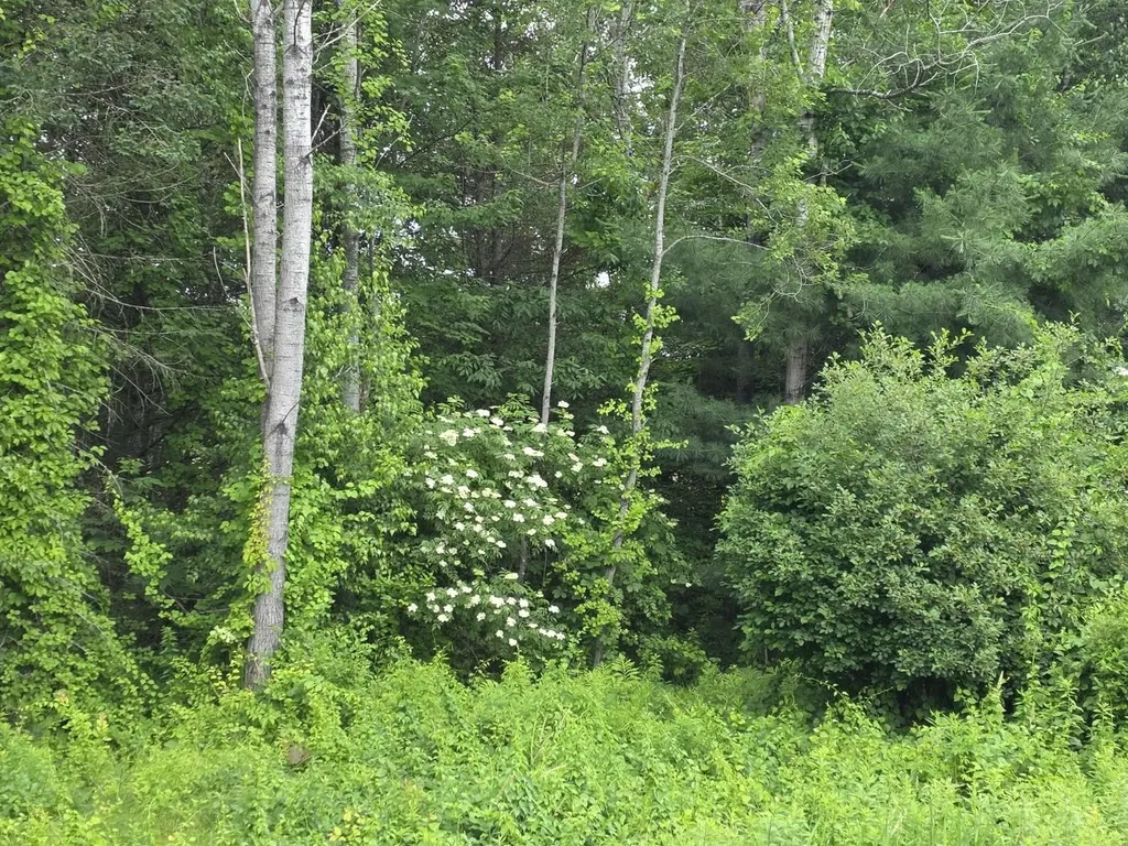 Stockbridge Corner Road Alton NH 03809