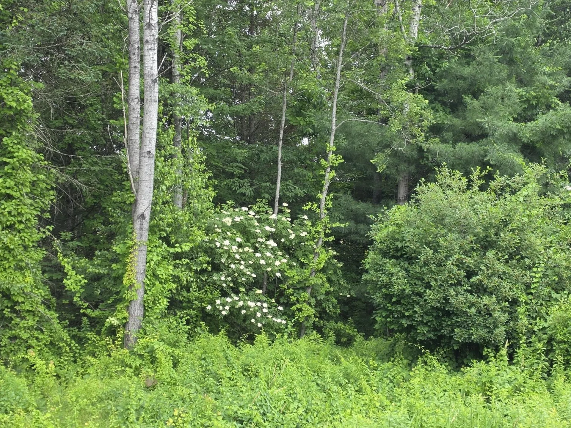 Alton NH, Stockbridge Corner Road