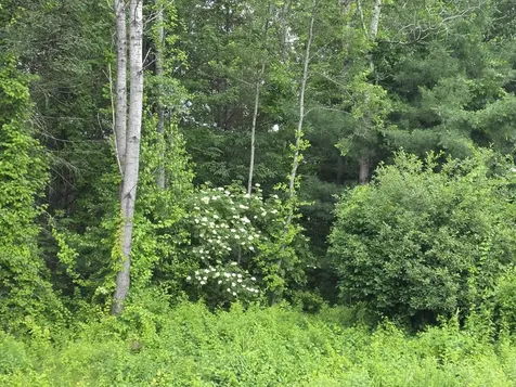 Stockbridge Corner Road Alton NH 03809