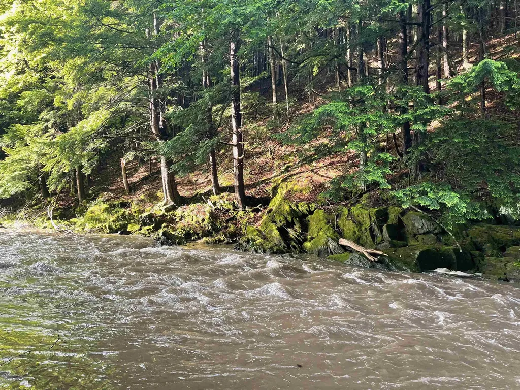 466 Estey Lane Windsor VT 05089