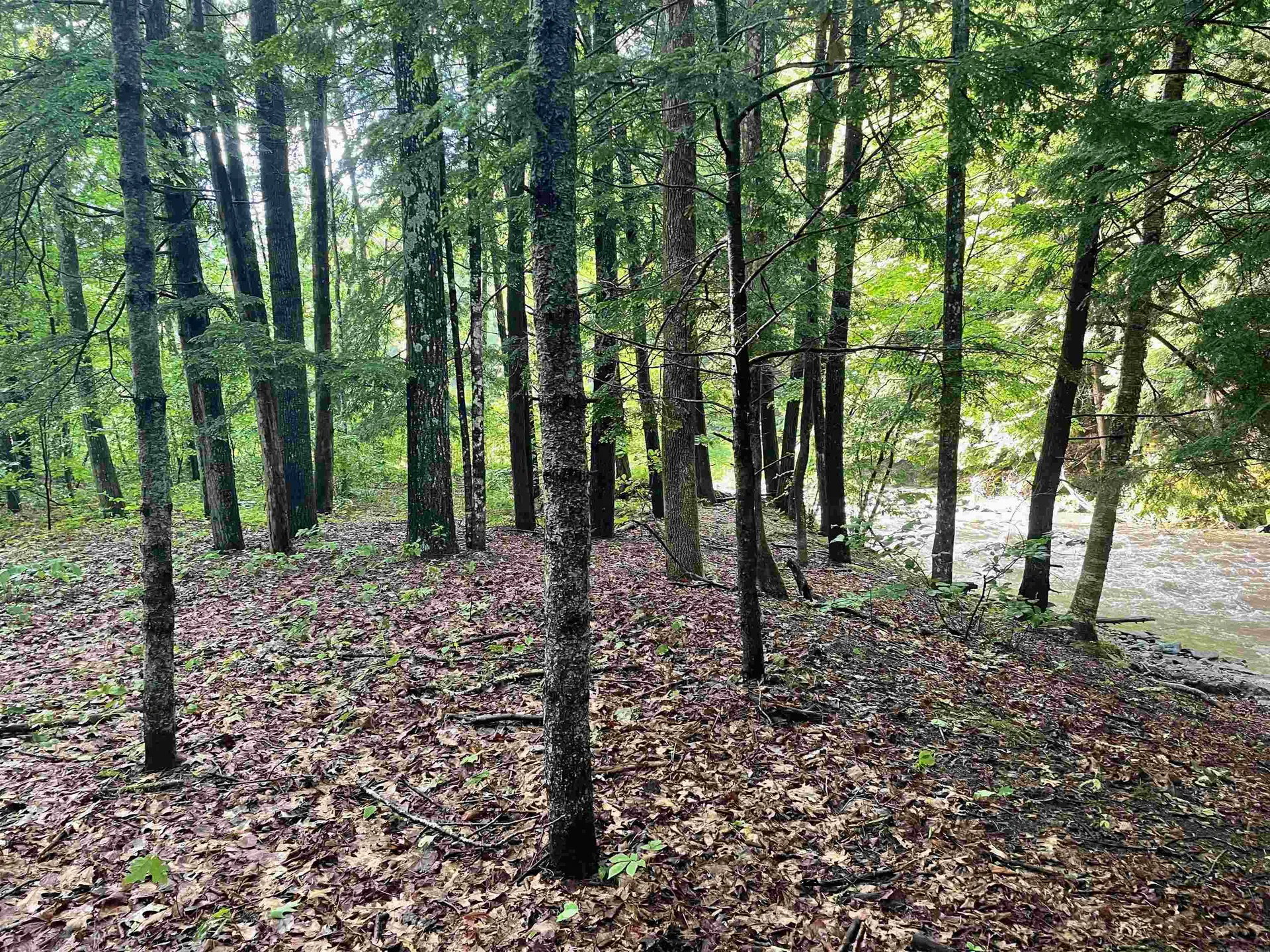 466 Estey Lane Windsor VT 05089