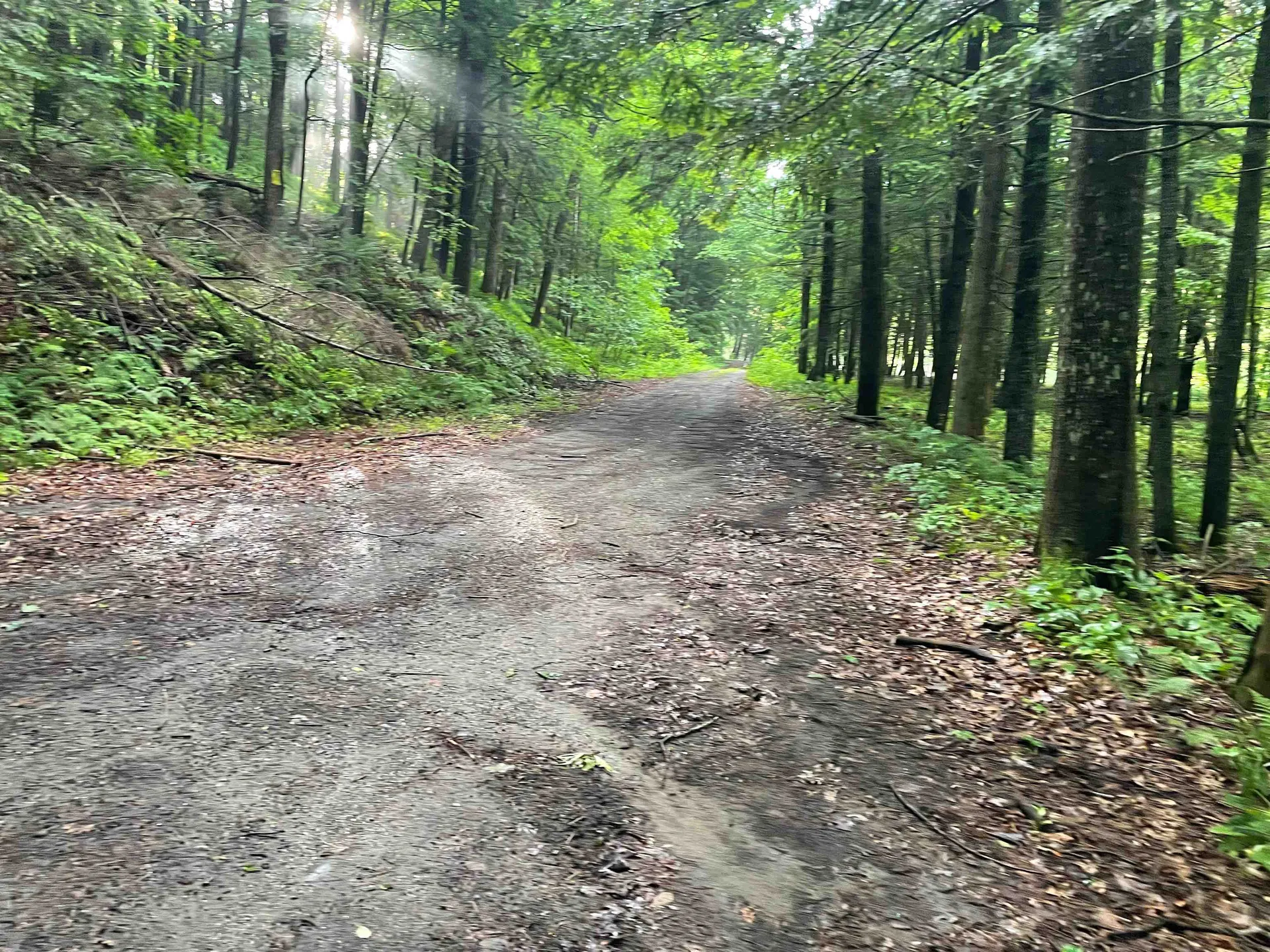 466 Estey Lane Windsor VT 05089